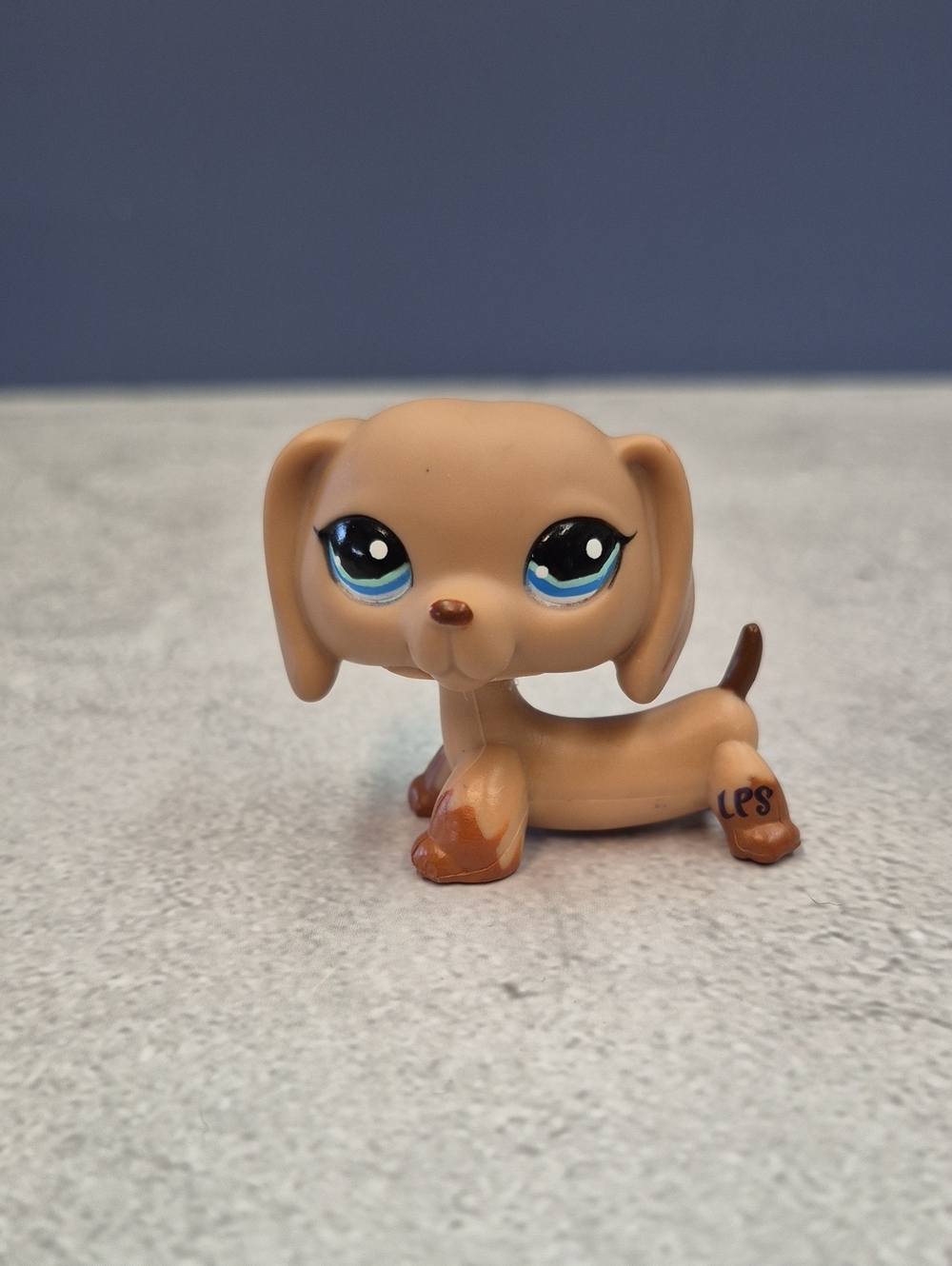 Littlest Pet Shop Dachshund #518